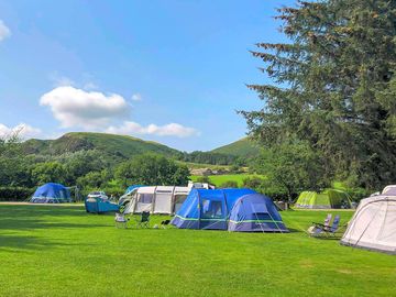 Site grass pitches (added by manager 28 jul 2022)