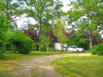 Pitches under the trees