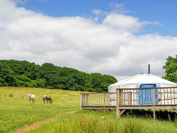 Yurt field with horses (added by manager 29 Sep 2022)