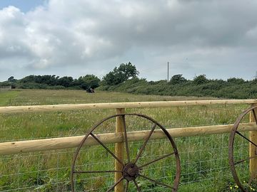 View of camping field
