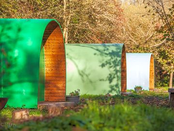 The pods