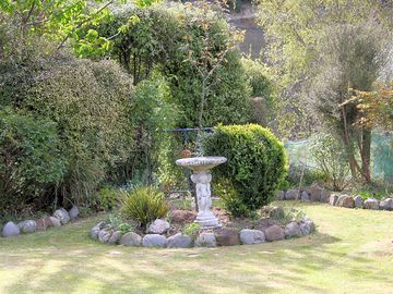Garden view in lodge area