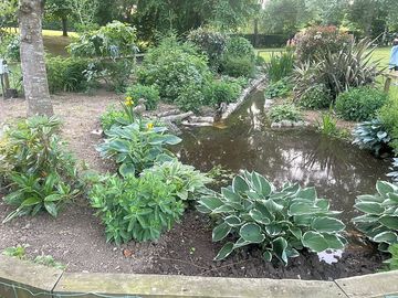 Pond