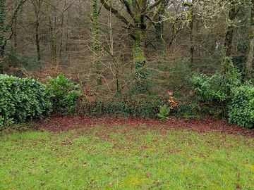 Hedges around the grass pitches