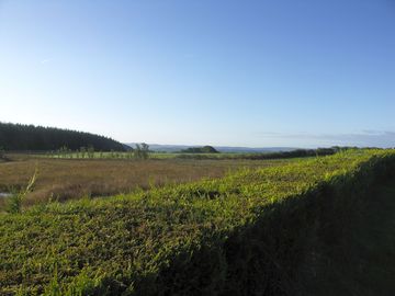 View from the site
