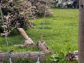 Swing!
