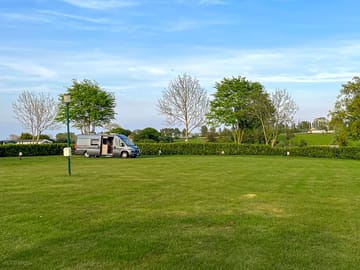 Grass pitch