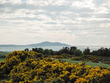 View campsite