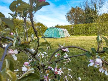 One of the pitches on site