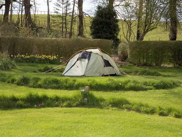 Camp out on the lawns in the edwardian walled garden