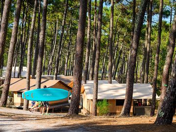 Safari tents among the trees