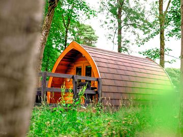 Camping pod among the trees