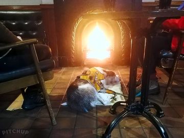 Dog friendly pub