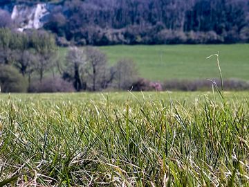 Grass pitches