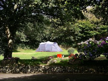 Grass pitches in the orchards