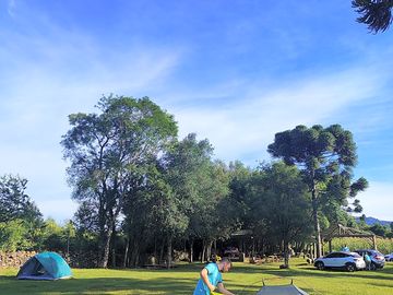 Grass pitches