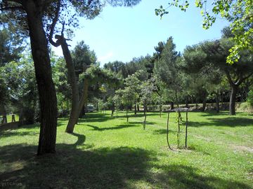 Camping field