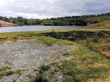 Our camper van pitch located just a stones through from our lake, swim and paddle to your hearts
