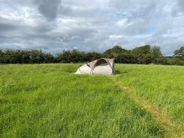 Mown path to a grass tent pitch