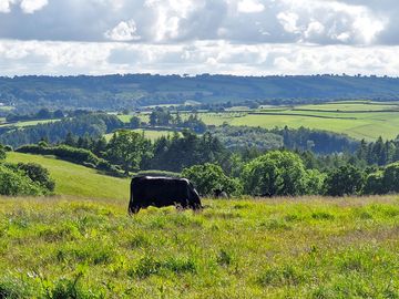 Gorgeous view over the valley