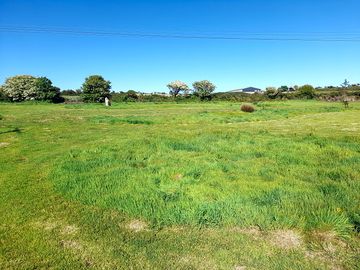 Around the site