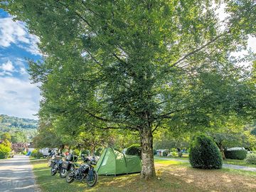 Grass pitches shaded by trees