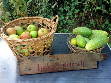 Help yourself to end of summer veg