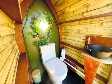 Luxury flushing toilet