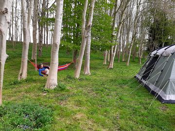 Tents facing the woodlands