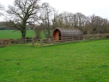 Camping pod surrounded by spring flowers