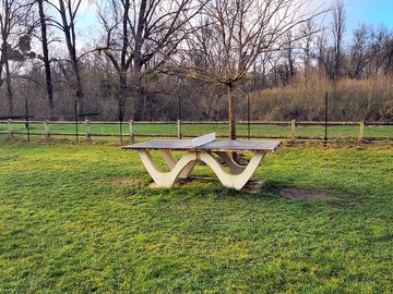 Outdoor table tennis