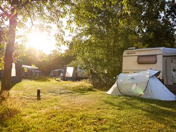 Pitches under the trees