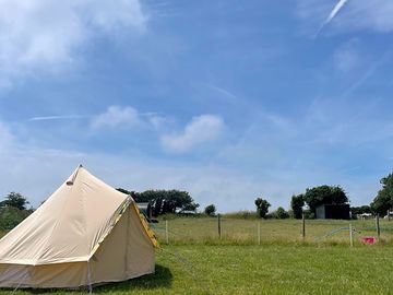Bell tents over looking the alpacas