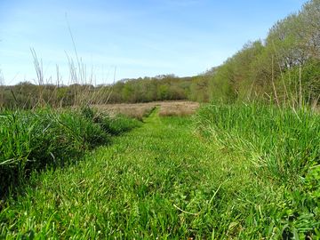 Stonechat Meadow