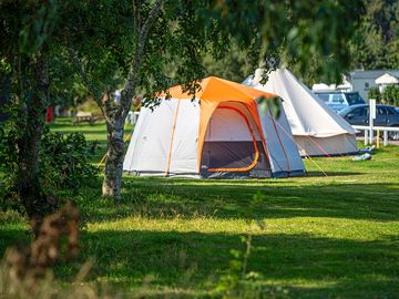 Grass tent pitches