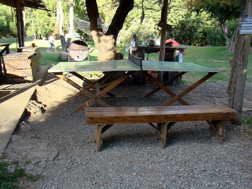 Ping pong table