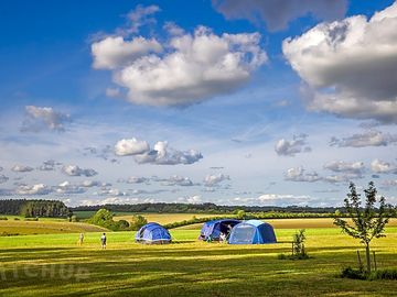 Green field