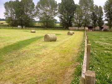 Bringing in the summer hay