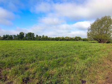 Spacious grassy pitches