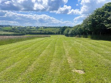 Ample sized pitches