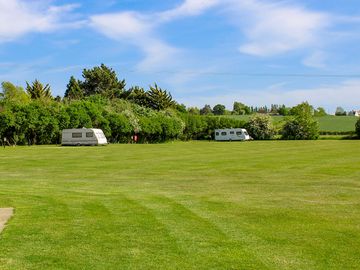 Grass pitches