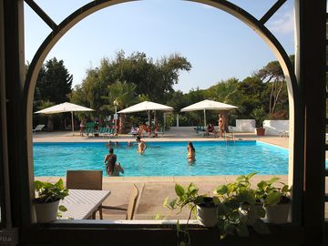 The swimming pool