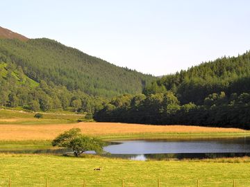 View from the pods