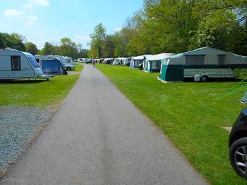 Bottom field