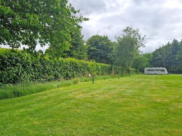 Dart Field