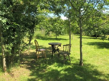 Latest orchard picnic spot