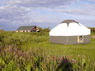 Bluebell yurt