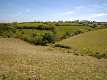 View from the site