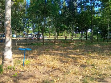 Shaded grass and earth pitch with view of the aeroplane