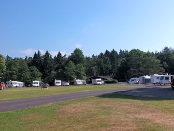 Pitches next to the treeline